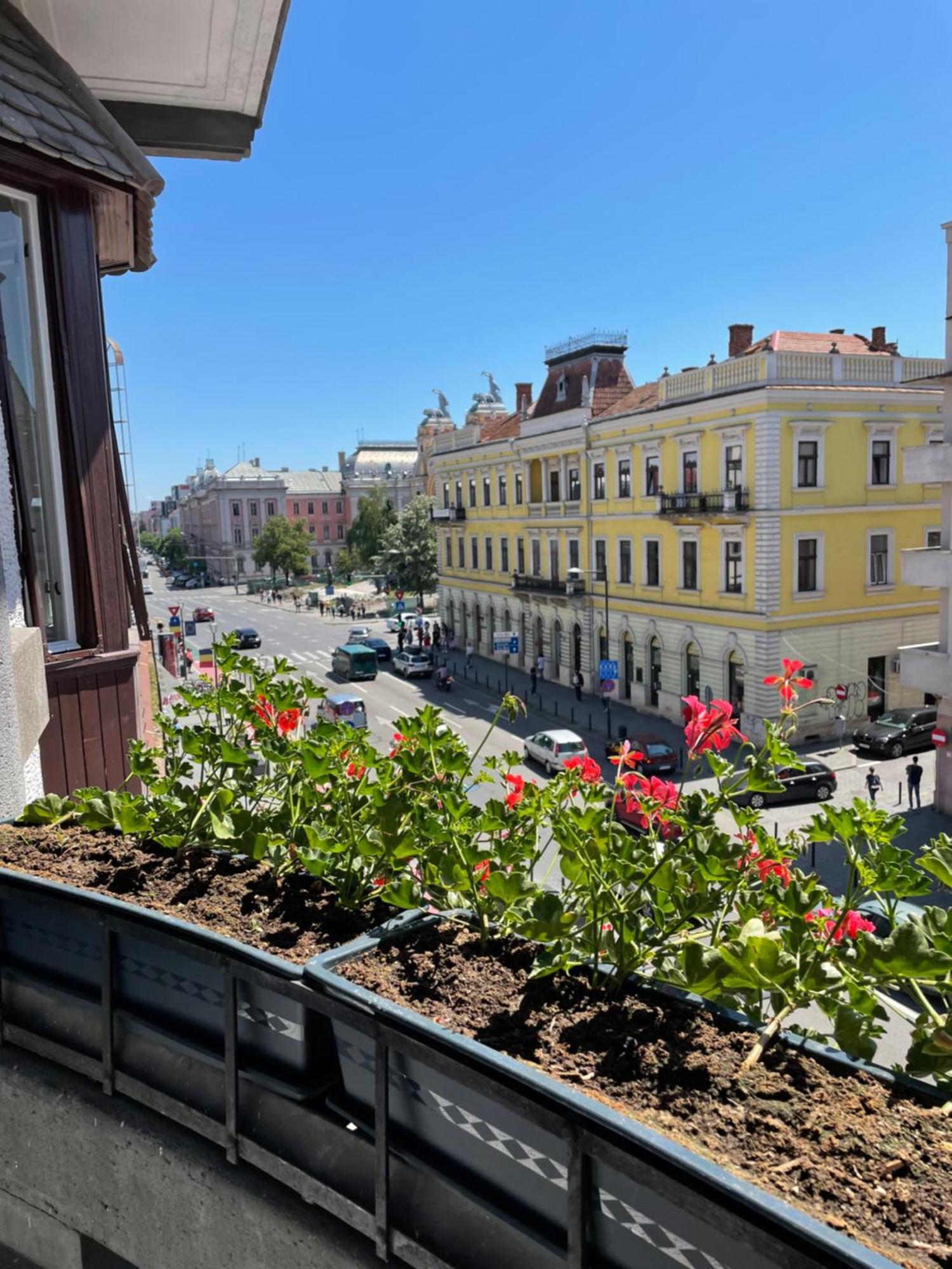 Littleparis Apartment Cluj Napoca Bagian luar foto